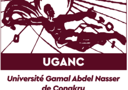 Quelle est la meilleure universite publique en Guinee Conakry