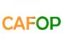 Centres d'Animation et de Formation Pédagogique (CAFOP) en Côte d'Ivoire